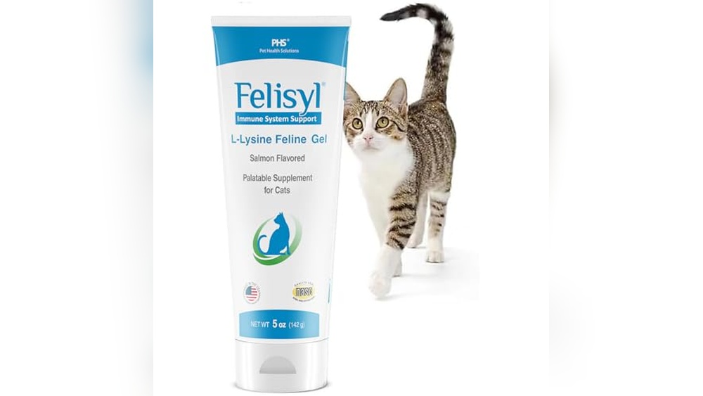 Which Allergy Medicine is Best for Cat Allergies