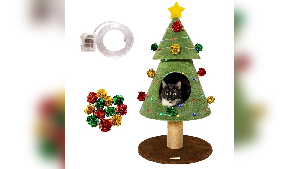 Which Breeds Safest With Cats: Top Friendly Dog Breeds Revealed