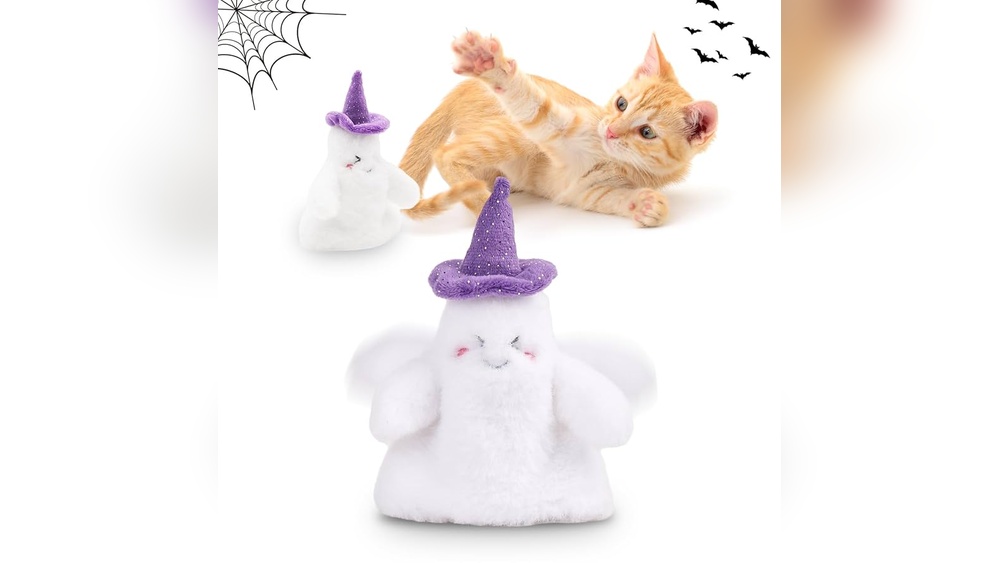 Which Cat Breeds are Ok Alone: Top Independent Cats Revealed