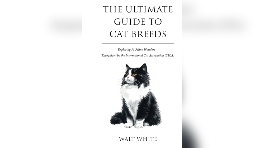 Which Feline Registry Recognizes the Most Amount of Cat Breeds? Uncovered!