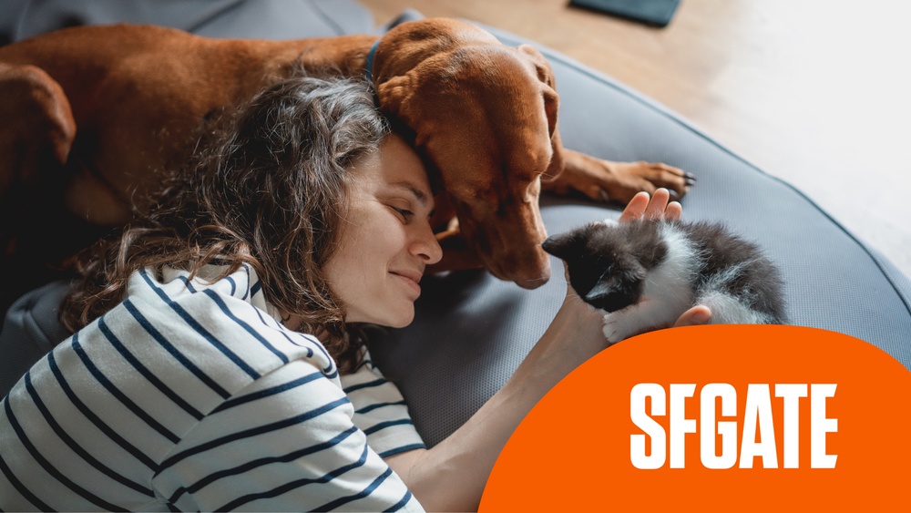 Which Resposible for Many Breeds of Domestic Cat And Dogs: Unveiled Secrets