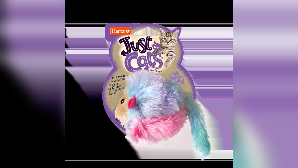 Which Toy is Right for My Cat: Ultimate Guide to Perfect Playtime