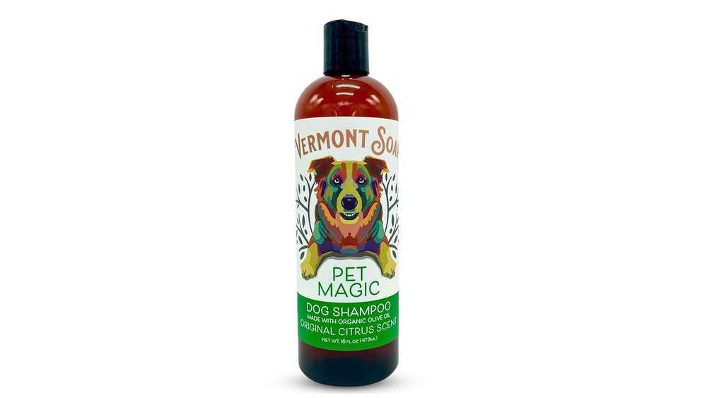 Who Must Pass the Cat Grooming Certification With 100 Percent: Essential Guide