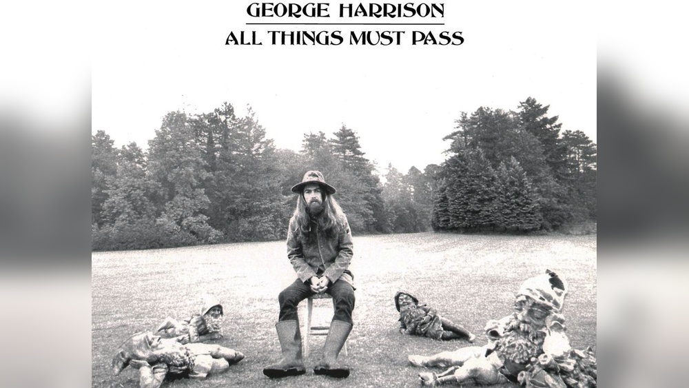 Who Must Pass the Cat Grooming Certification With 100% Success?