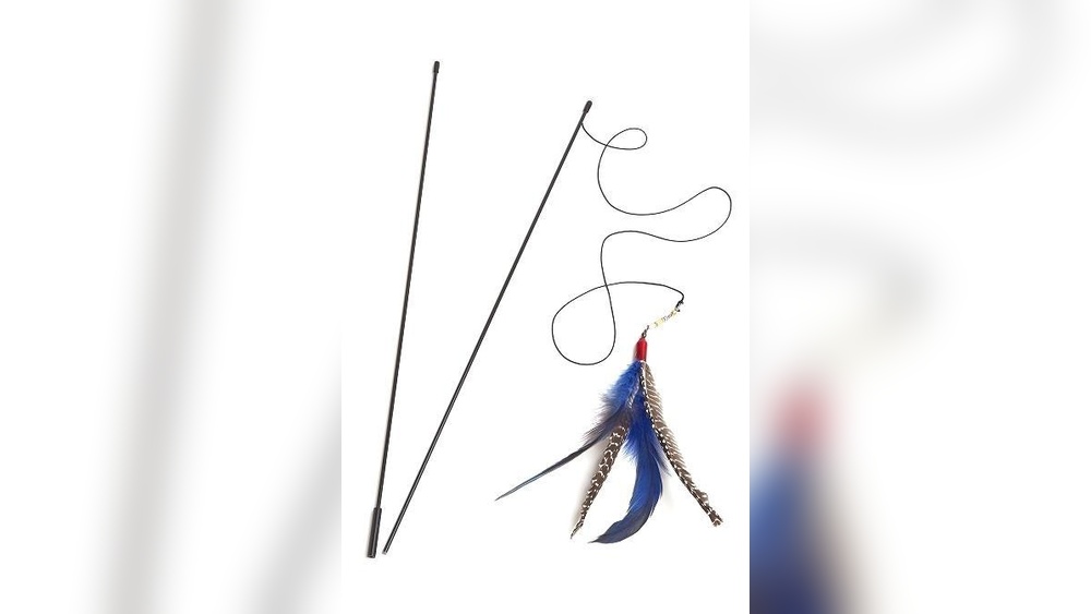 Who Owns Go Cat Feather Toys: Unveiling the Brand&rsquo;s Story