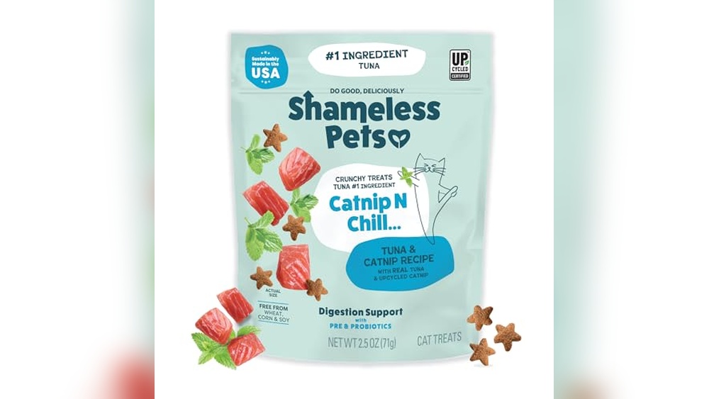 Why Are Cats the Best Pet? Top Treats and Essentials Reviewed