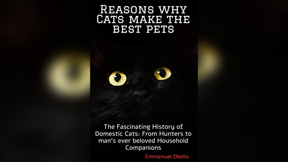 Why Are Cats the Best Pets? Discover Their Unique Charm and Care