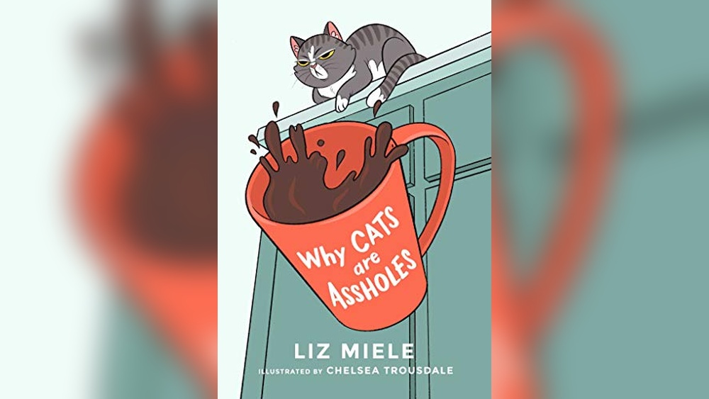 Why Cats are the Best Pets: Top Reasons to Choose Feline Friends