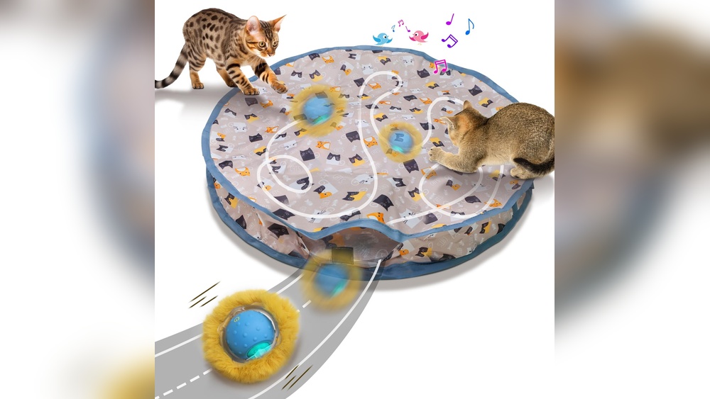 Why Cats Hide Toys: Surprising Reasons You Never Knew