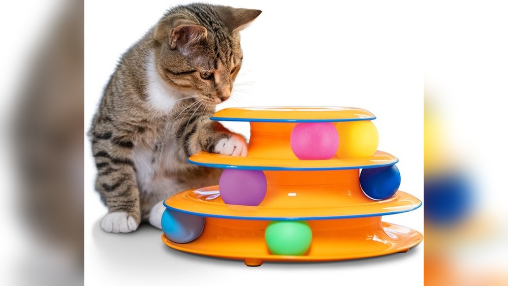 Why Did My Cat Pee on His Toys: Shocking Reasons Explained