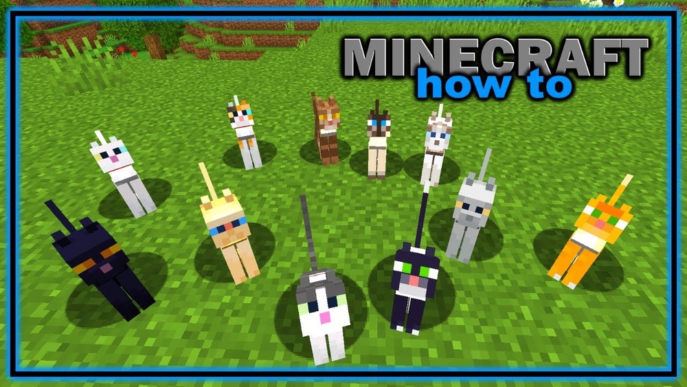 Why Did the Cat Change Breeds in Mc: Surprising Reasons Revealed