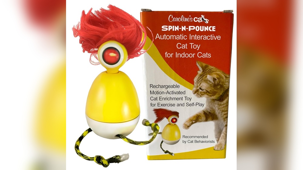 Why Do Cats Chatter to Their Toys: Surprising Feline Secrets Revealed