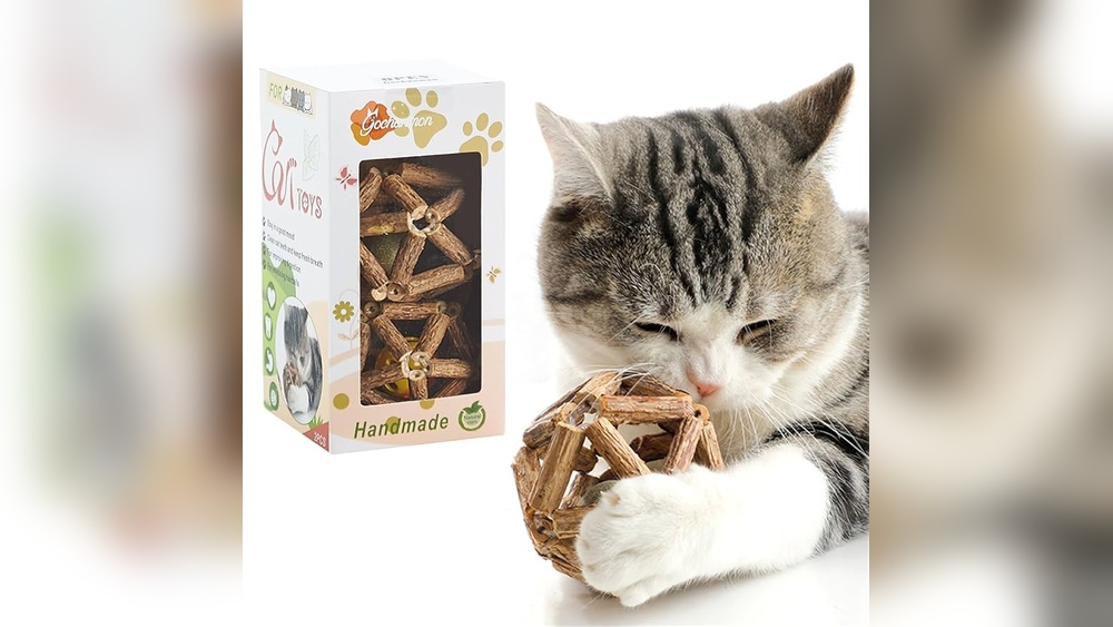 Why Do Cats Clean Toys: Surprising Reasons You Must Know