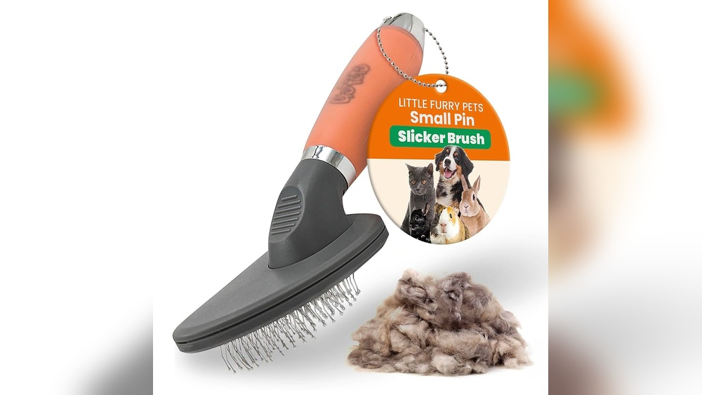 Why Do Cats Grab Brush When Trying to Groom Them: Surprising Reasons Revealed