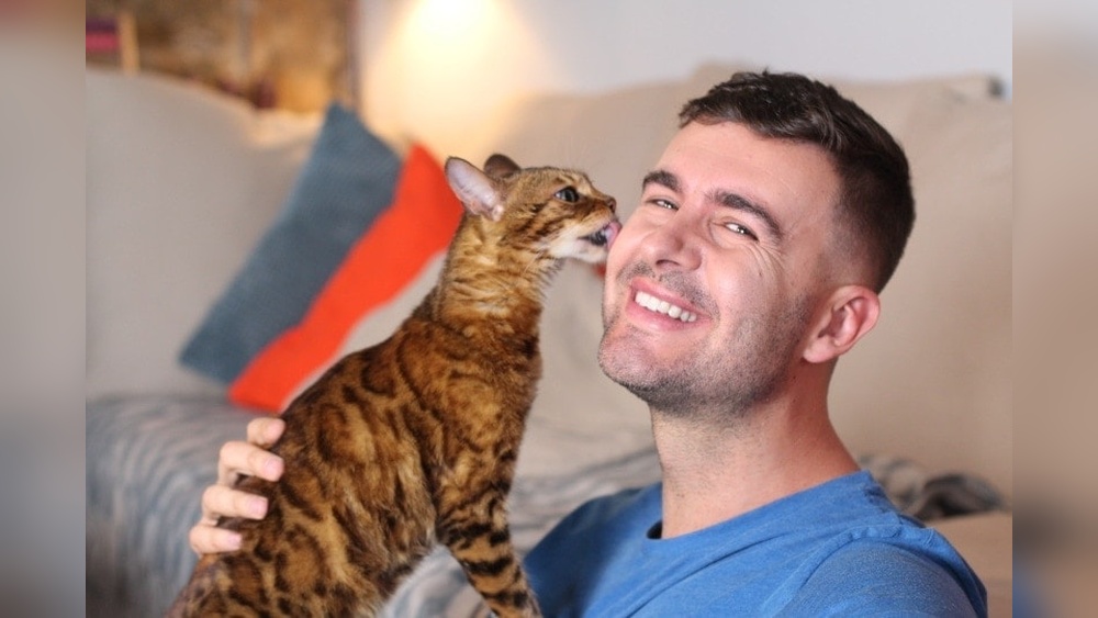 Why Do Cats Groom Owners: Surprising Reasons Explained