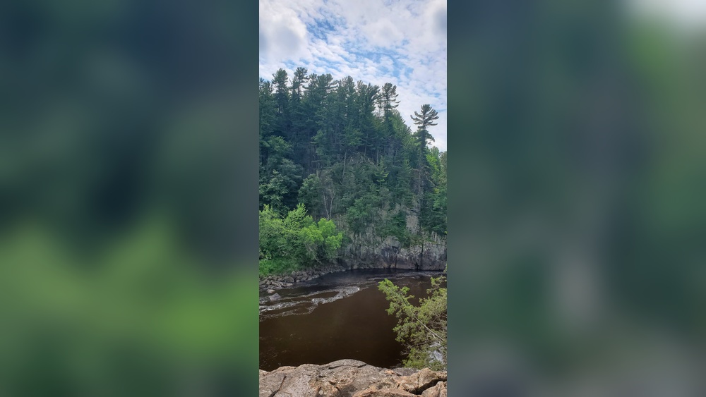 Why Do Cats Groom People Mnn Mother Nature Network: Surprising Insights