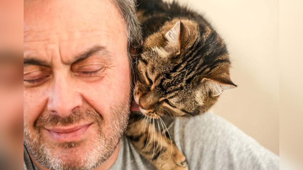 Why Do Cats Groom People&rsquo;S Hair: Surprising Reasons Explained