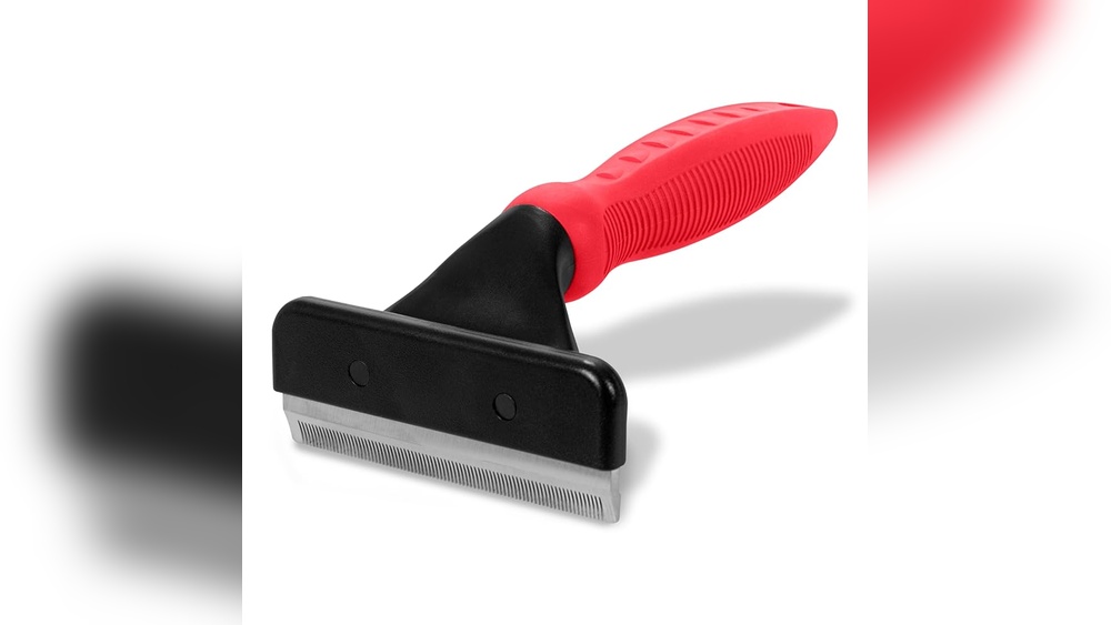 Why Do Cats Groom Their Brothers: Surprising Reasons Revealed