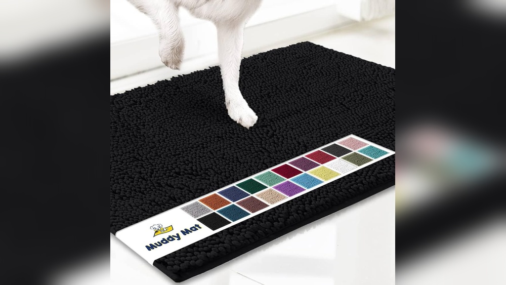 Why Do Cats Groom Themselves And Dogs Don&rsquo;39t: Surprising Reasons