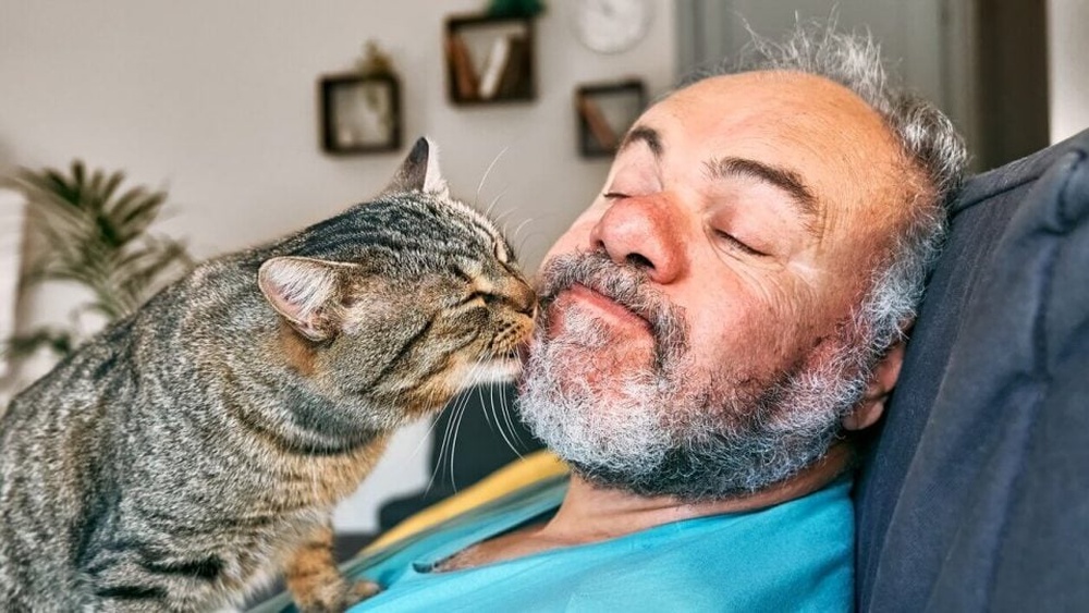 Why Do Cats Groom Your Hair: Surprising Reasons Revealed