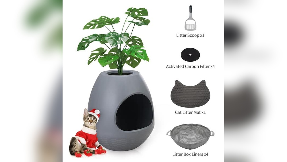 Why Do Cats Hide Toys in Litter Box: Uncover Surprising Reasons