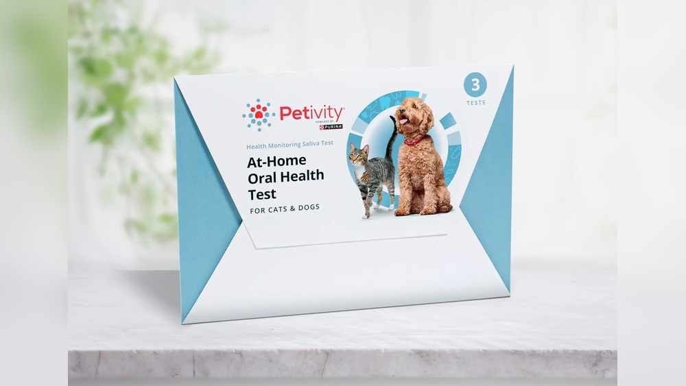 Why Do Cats Not Run Out of Saliva During Grooming: Surprising Facts