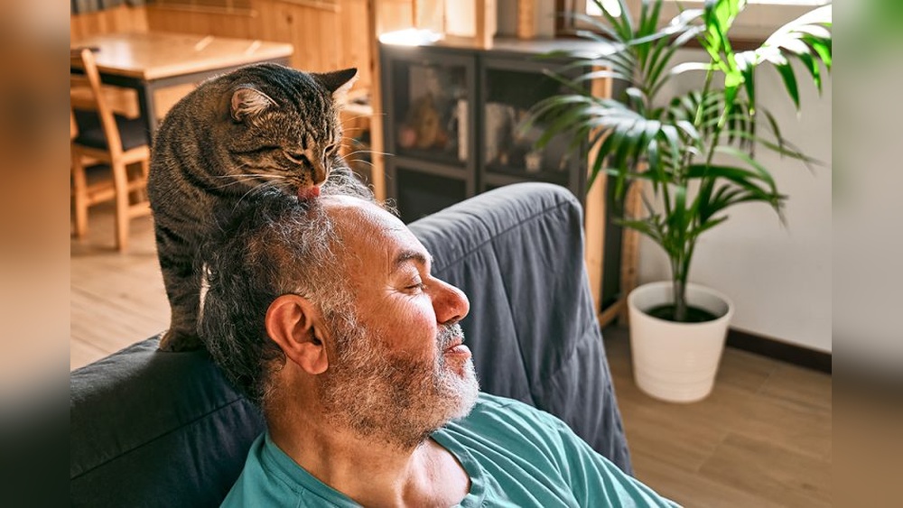 Why Do Some Cats Groom Humans: Surprising Reasons Explained