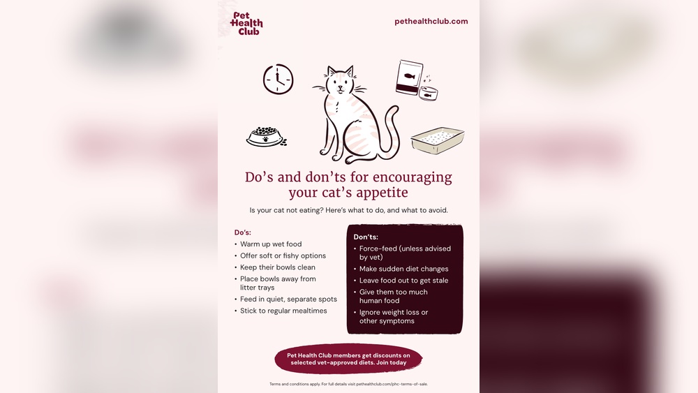 Why Does a Cat Change Eating Behavior: Surprising Causes Revealed