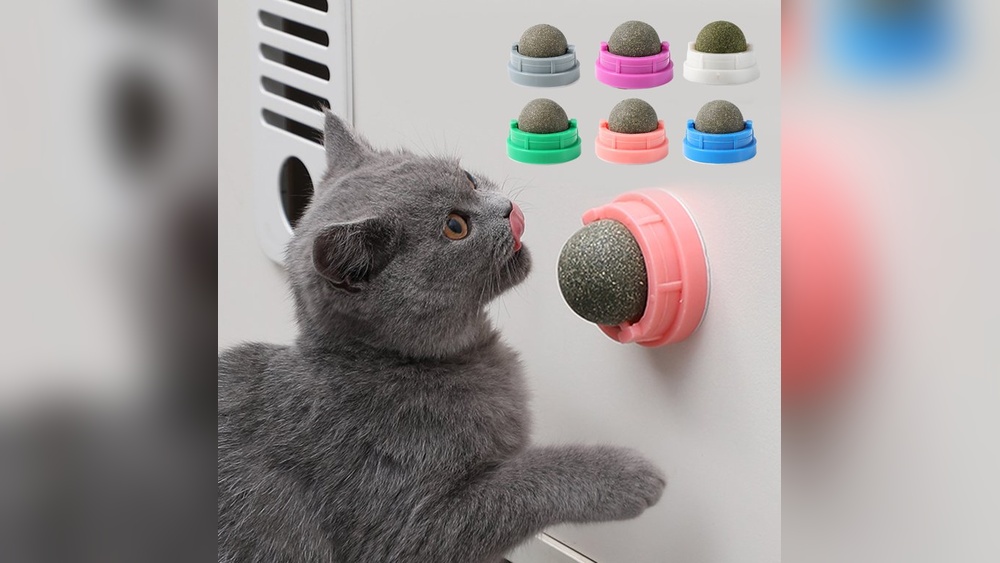 Why Does Cat Lick Toy: Surprising Reasons You Should Know