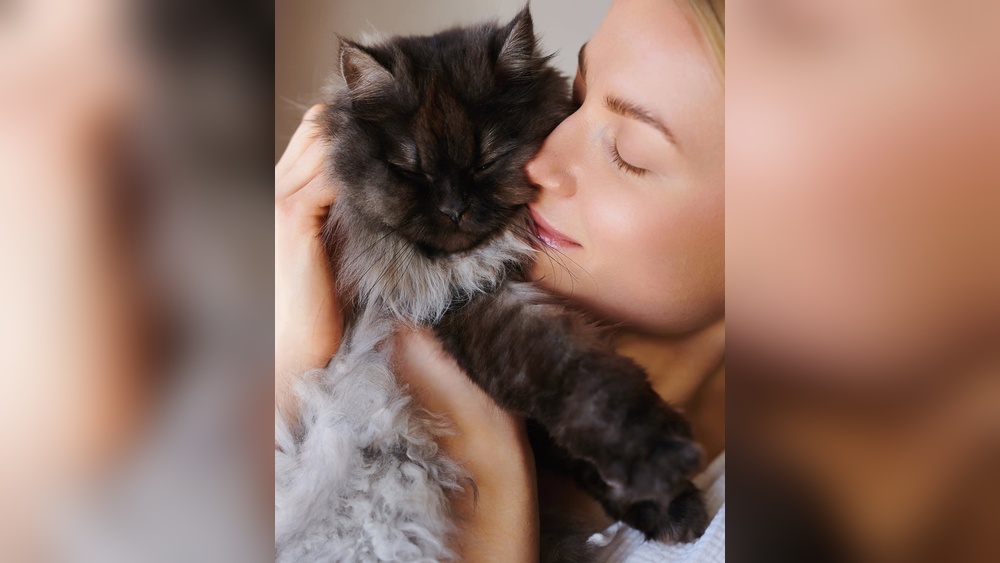 Why Does It Smell When My Cat Grooms? Shocking Truths Revealed