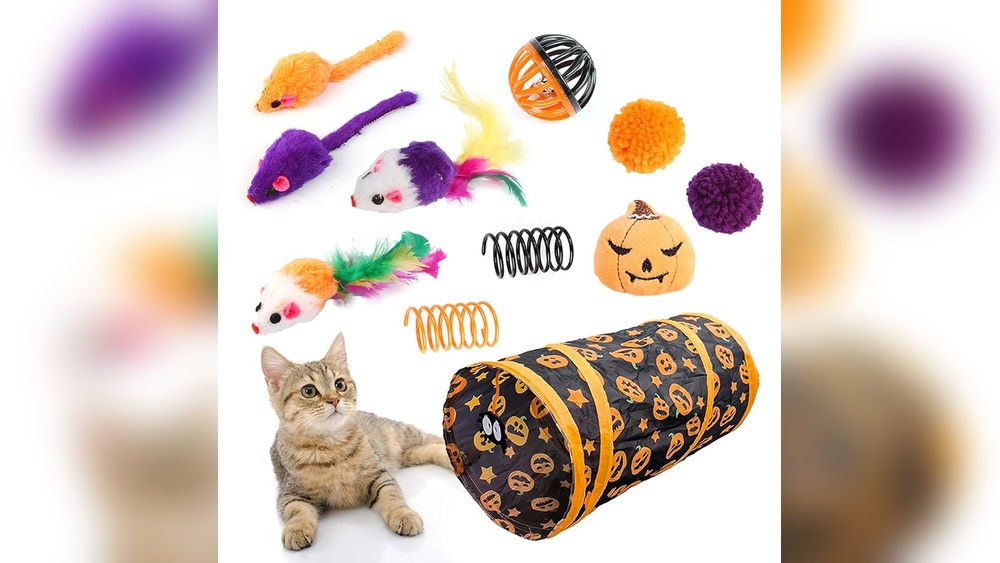 Why Does My Cat Chew Feather Toys: Surprising Reasons Explained