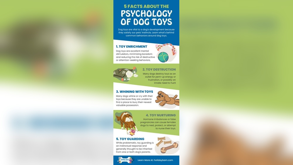 Why Does My Cat Destroy His Toys: Shocking Reasons Revealed!