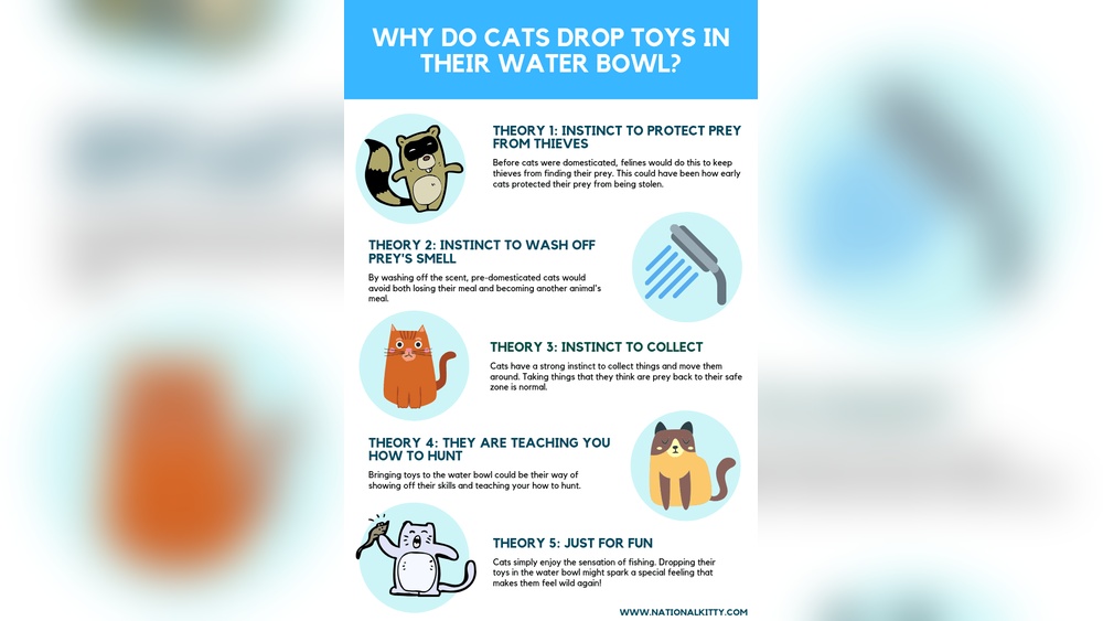 Why Does My Cat Drops Toys in the Water Bowl: Surprising Reasons Revealed