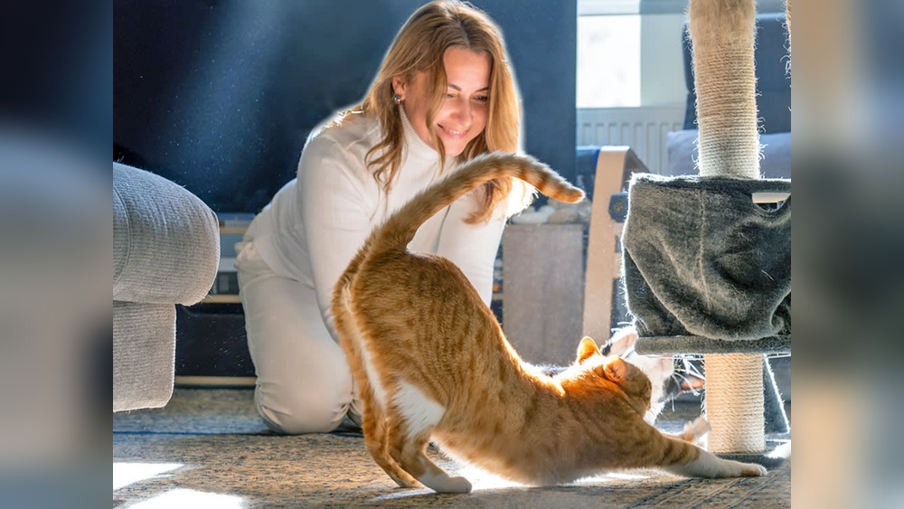 Why Does My Cat Groom Themselves Infront of Me: Surprising Reasons Revealed