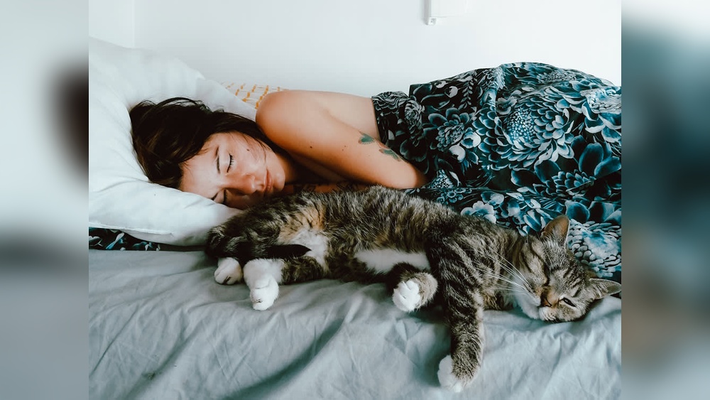Why Does My Cat Groom While Laying Next to Me: Surprising Reasons Revealed