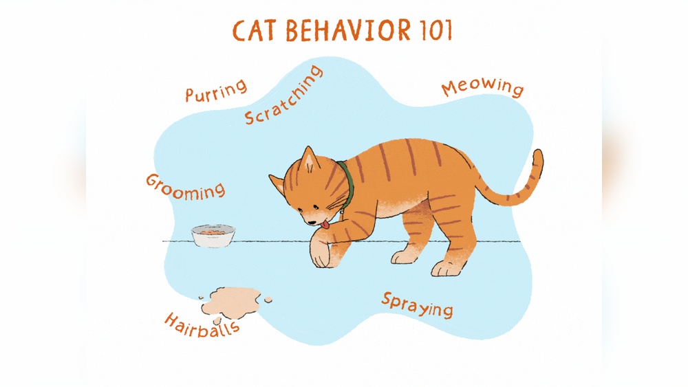 Why Does My Cat Grooming Next to Me: Surprising Reasons Explained