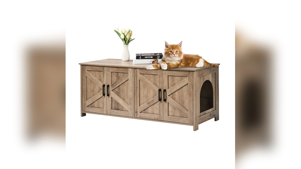 Why Does My Cat Hide Her Toys in Mt Bedroom: Surprising Reasons Explained