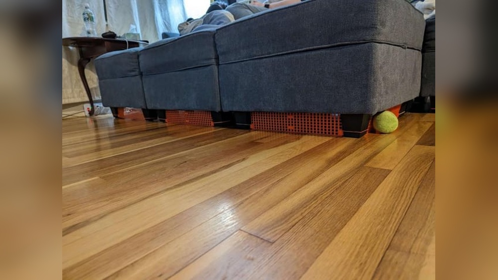 Why Does My Cat Hide Toys under the Couch: Surprising Reasons Explained