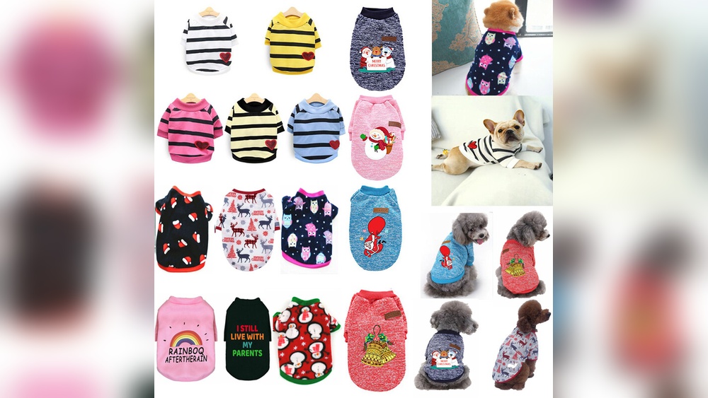 Why Does My Cat Leave Stuffed Toys in My Clothes? Surprising Reasons!