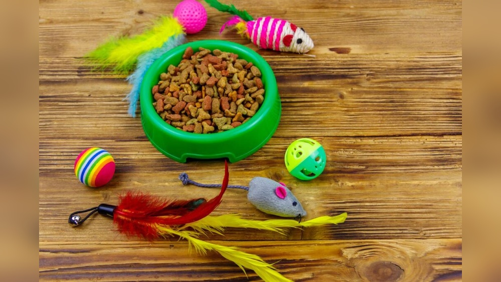Why Does My Cat Leaves Toys in the Food Bowl: Surprising Reasons Explained