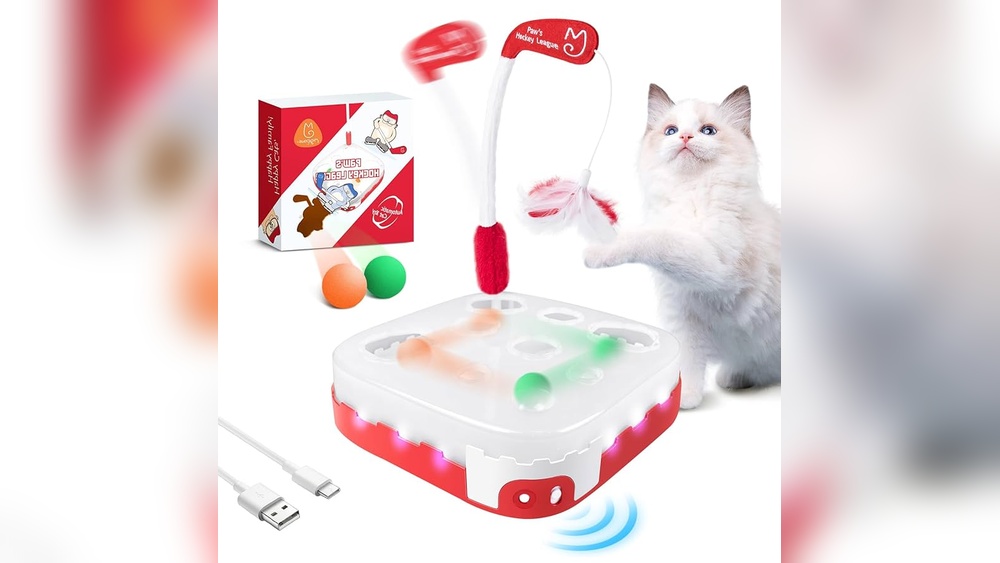 Why Does My Cat Loke One Toy: Surprising Reasons Uncovered