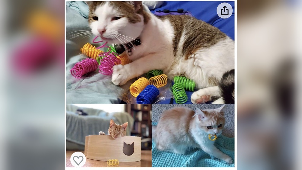 Why Does My Cat Love His Plastic Spring Toy? Surprising Reasons Revealed