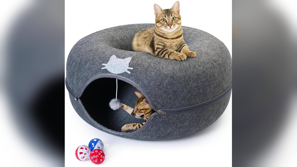 Why Does My Cat Meow at His Toy Balls: Surprising Reasons Explained