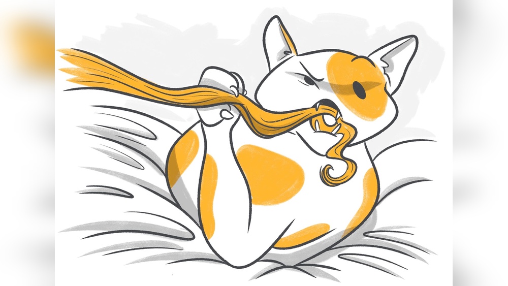 Why Does My Cat Try to Groom My Hair: Surprising Reasons Revealed