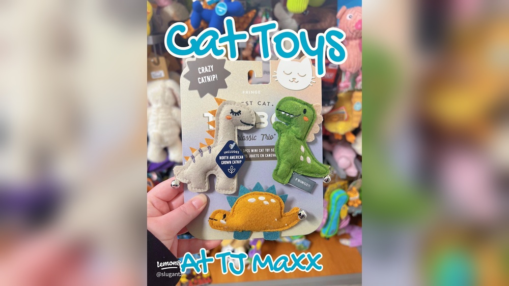 Why Does Tj Maxx Not Carry Cat Toys: Surprising Reasons Revealed