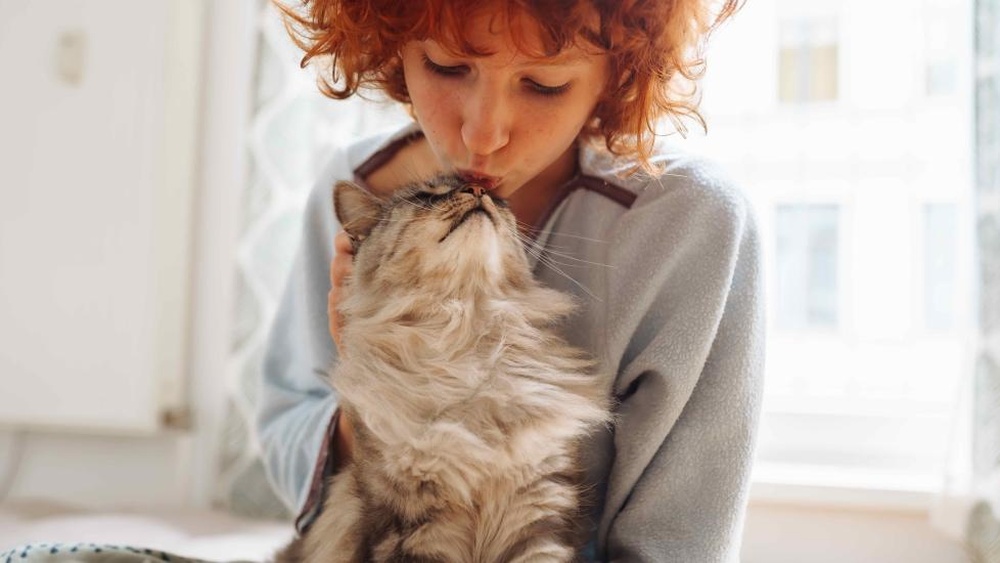 Why Don&rsquo;T Cats Groom Their Owners: Surprising Truths Revealed
