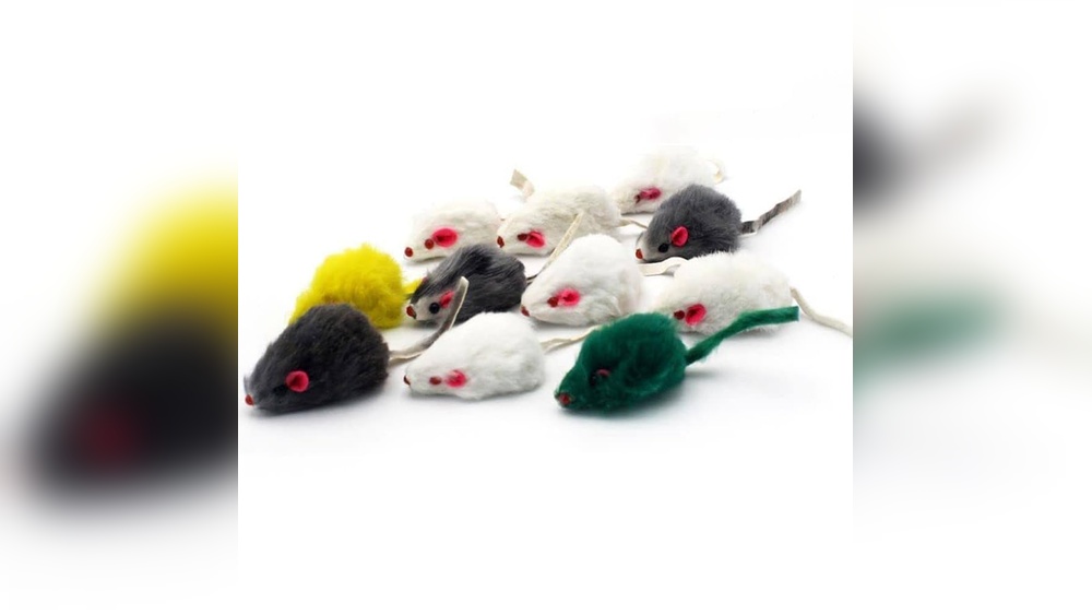 Why Dont Cats Use Toys: Surprising Reasons Revealed