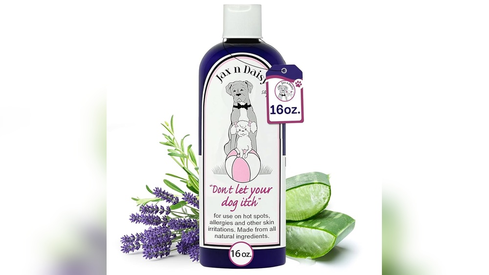 Why Don&rsquo;T the Other Cats Groom Her: Surprising Reasons Revealed