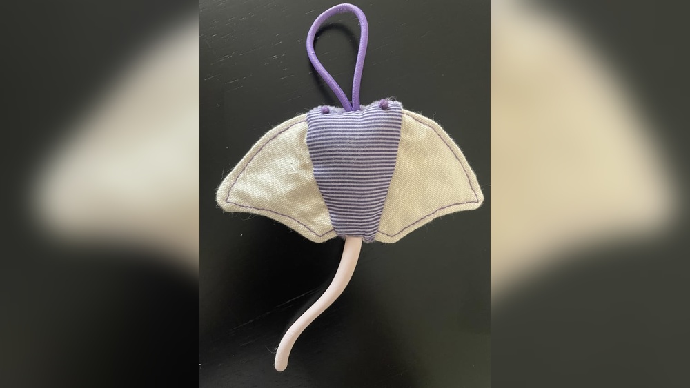 Why is My Cat Afraid of Her Toys: Surprising Reasons Revealed