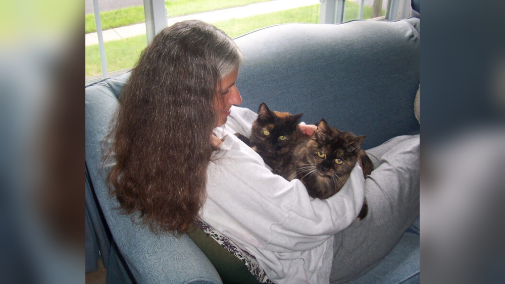 Why is My Cat Grooming on My Lap: Surprising Reasons Explained